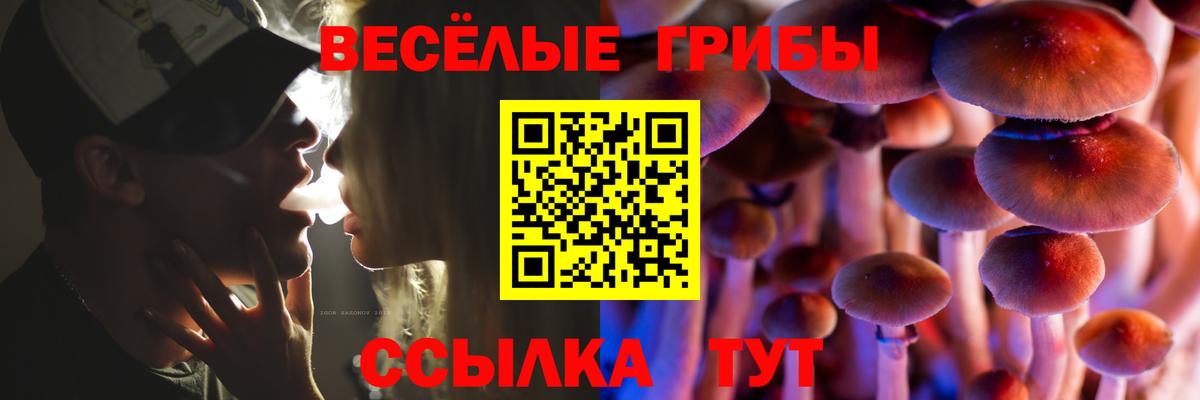 Галлюциногенные грибы MAGIC MUSHROOMS  Галлюциногенные грибы мухоморы  Муравленко  Вход с VPN 